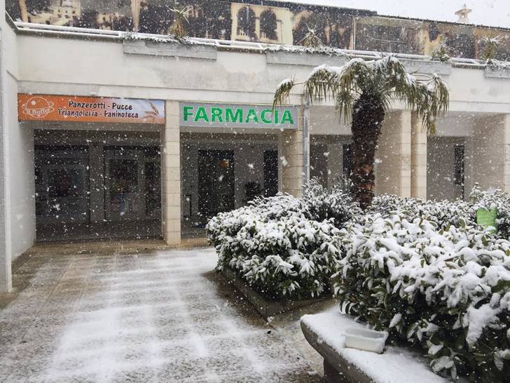 Farmacia Della Selva