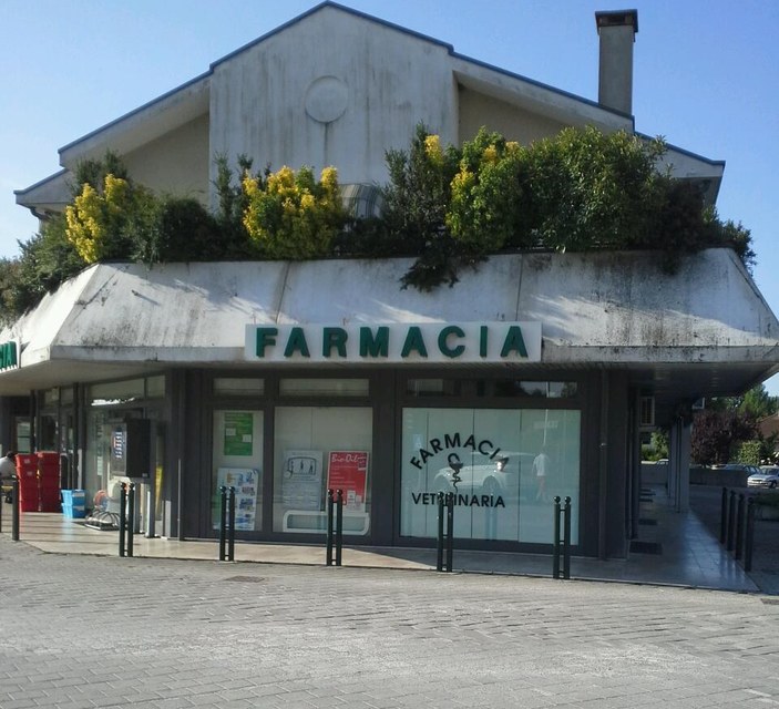 Farmacia Dodi